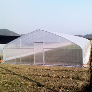 Quality High Strength Agricultural Poly Tunnel Tomato Greenhouse 5*15m 17*50ft wholesale