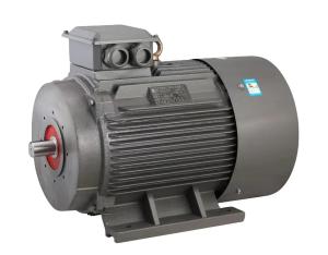 Quality Squirrel Cage 3 Phase Induction Motor For Automatic Washer wholesale
