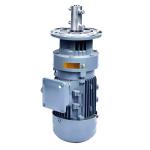1.1kw IBC Tote Industrial Agitator Mixer 304SUS Electric Motor