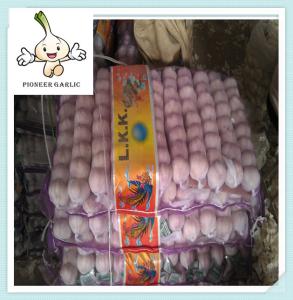 Quality White Garlic Hot Sale, Fresh White Garlic, High Quality Chinese Fresh Garlic wholesale