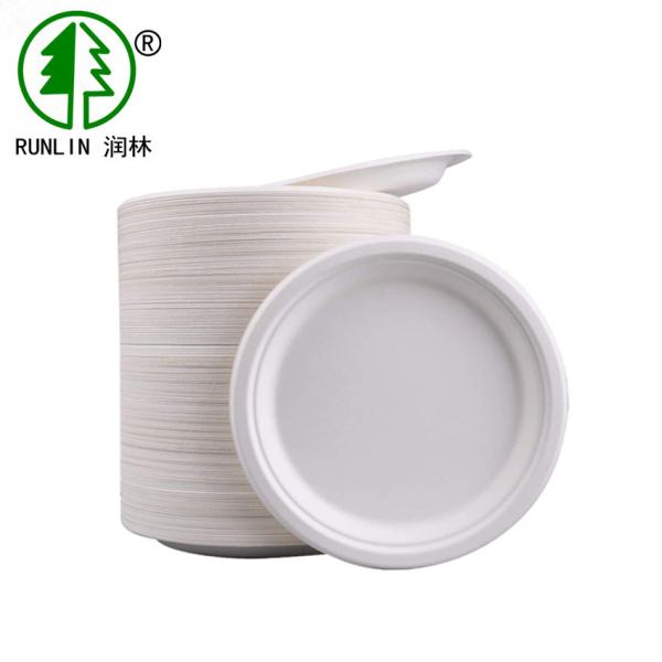 14g Round Eco Disposable Iodegradable Sugarcane Bagasse Plates From Sugarcane