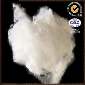 Quality White Anti Static PSF Polyester Staple Fiber 1.4D-22D For Filling Sofa wholesale
