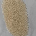 Food Grade Enzyme Preparations,Food Grade Neutral Protease