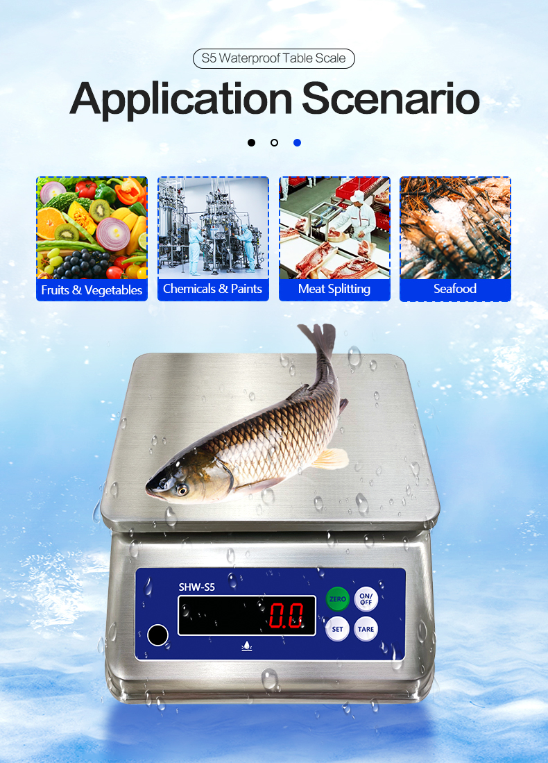 SOHE S5 3KG Stainless Steel Scale with Dual LED Display and IP68 Waterproof Rating