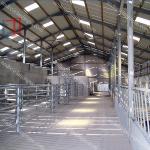 Easy Install Modern Cattle Shed , Prefabricated Metal Farm Barns