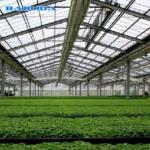 Hot Dipped Galvanized Steel PE Plastic Film Greenhouse 150mic 200 Micron