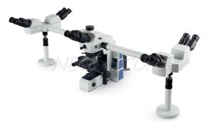 Quality Medical Research Multi View Microscope , Wide Field Fluorescence Microscopy wholesale