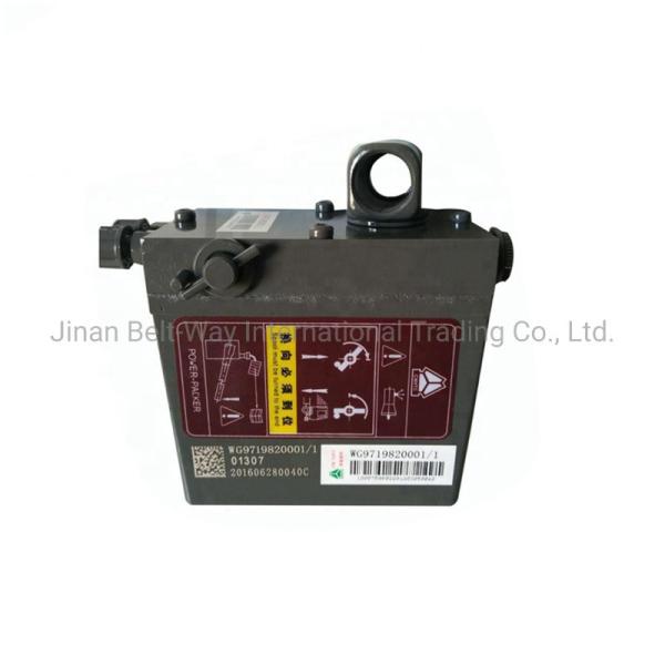 Promotion Spare Parts Truck Accessories Lifting Pump Wg9719820001 with GS