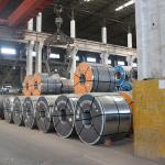 Z160 Ppgi Gi Sheet Coil Sheet Zinc Coated Galvanized Steel Coil Dx51d Wall