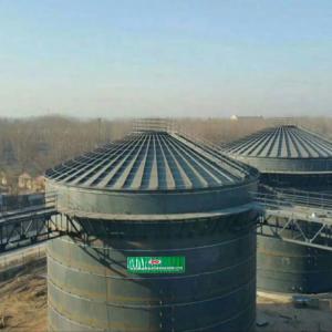 Quality EGSB Biogas Plant Project Domestic Anaerobic Biogas Digester System wholesale