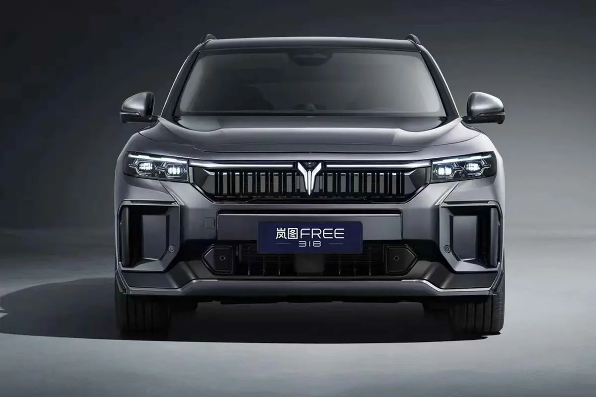 2025 VOYAH FREE 318 China New Energy Vehicle SUV Range 318KM Rear-Wheel Drive Four-Wheel