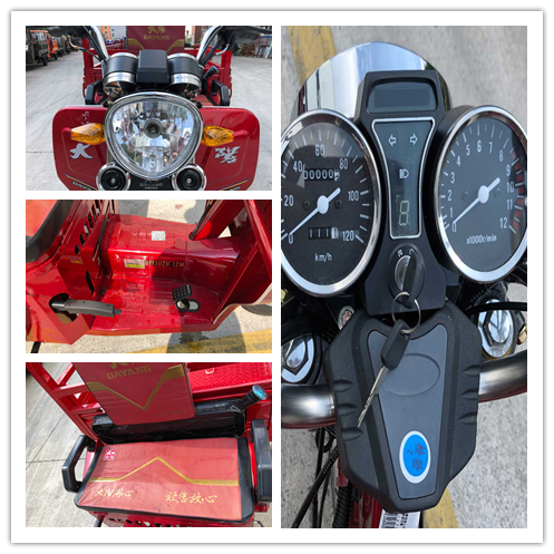 Red 201 250cc Petrol Gasoline Passenger 4.00-12 55km/h 800W CN CHO DAYANG Three Wheel Tricycle Air Cooled Engine
