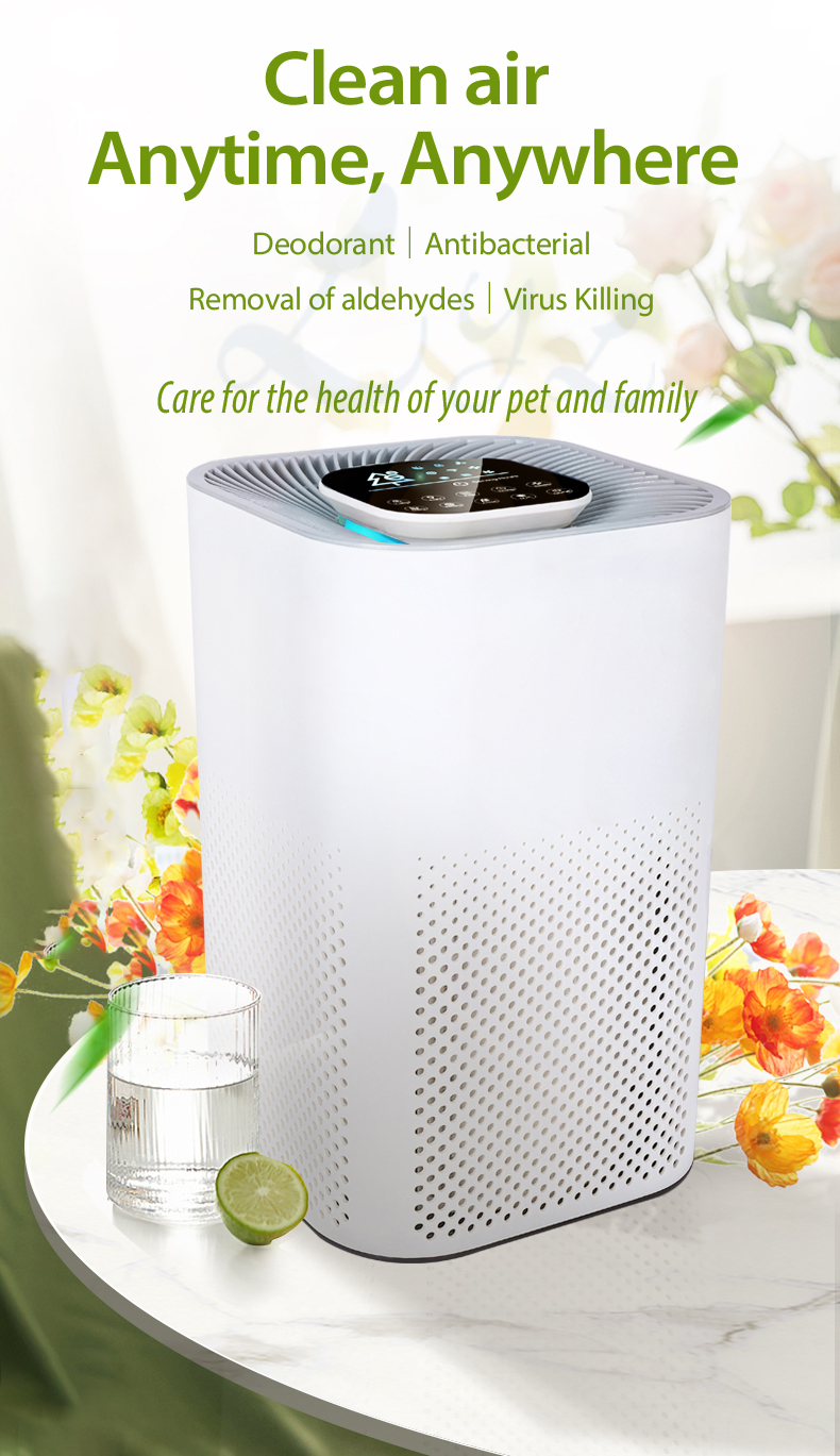 2022 New Purificador De Aire Hepa Desktop Ionized Air Purifier Negative Ion True Hepa Filter Portable Air Purifier Manufacturer