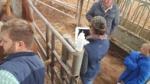 Multipurpose Equine Vet Portable Ultrasound Machine DRF RDA