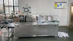 Automatic Horizontal Tablet Pill Capsule Carton Box Packing Machinery Blister