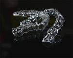 Invisable Fixed Orthodontic Appliances Simple Install For Dentist Study