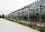 Good Reliability Agricultural Glass Greenhouse 4mm / 5mm Glass Covering