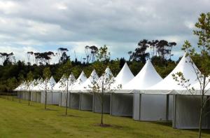 Quality White / Transparent Canvas 8x8 Outdoor Gazebo Tent With Hot Dip Galvanized Steel wholesale