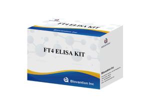 Quality FT4 Elisa Test Kit Free Thyroxine Blood Test Serum Specimen wholesale