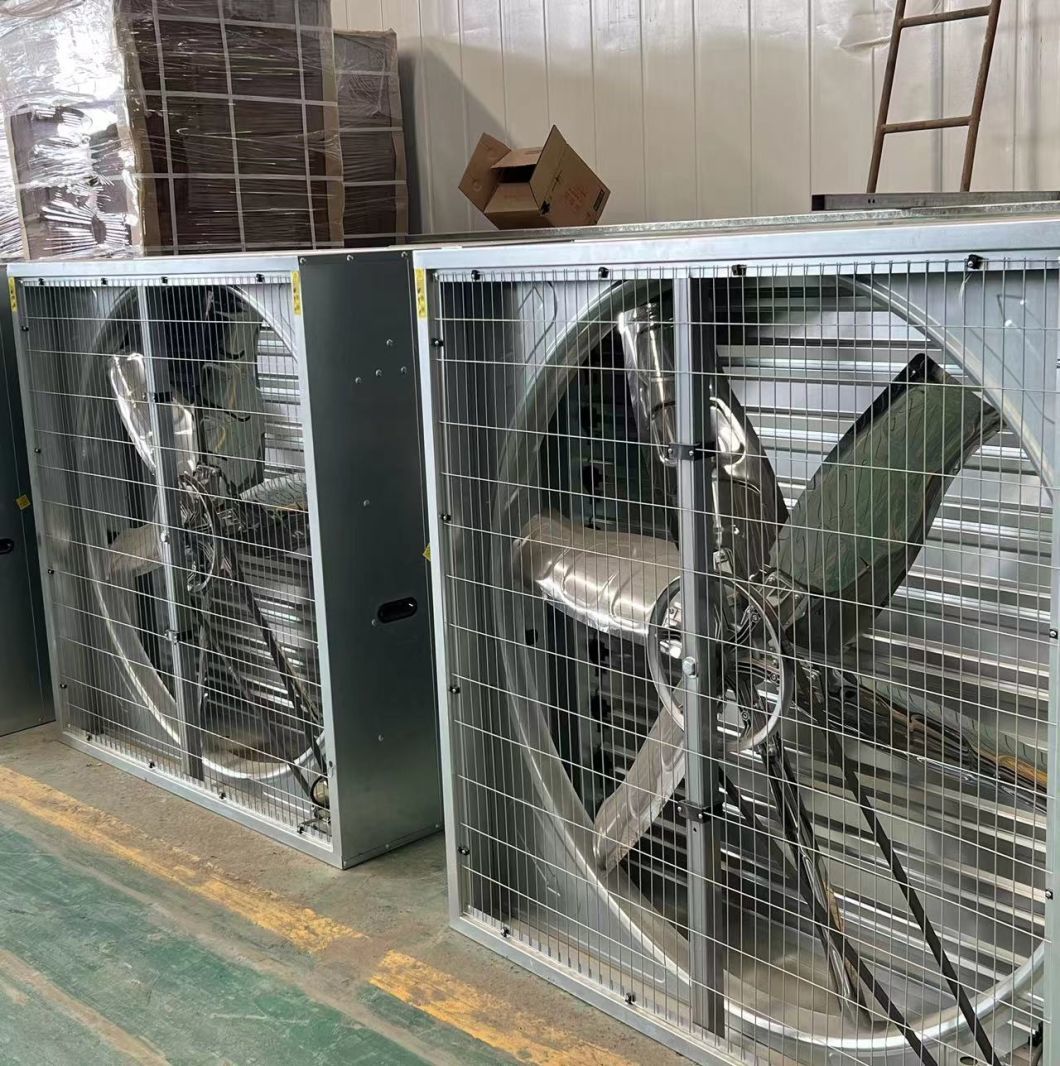 Multi-Span Tunnel Vegetable Production Greenhouse