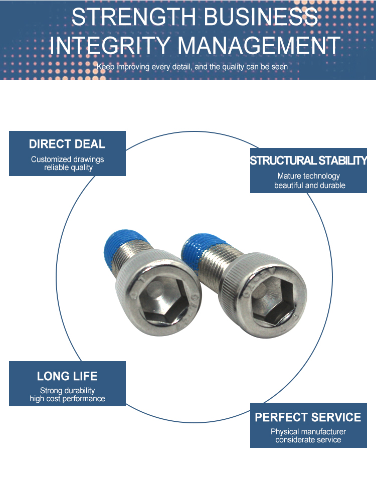 Stainless Steel SS304 Hexagon Socket Head Bolt with Blue Coating Nylon Lock Screw Cap