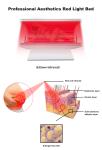 Muscle Message 635nm 660nm 850nm LED Red Light Therapy Beds For Chiropractic Use