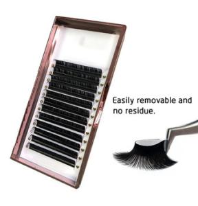 Quality 0.1mm Thickness Classic Lash Extensions , PBT Fiber 10mm Eyelash Extensions wholesale