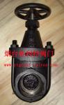 cast iron clip gate valve