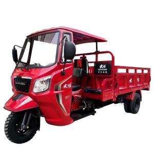 Quality Open Body Type 2021 DAYANG 250cc Semi Cabin Cargo Tricycle 300cc Red Color Power Engine wholesale