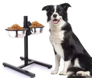 Quality Elevated Dog Bowls Raised Pet Feeder Cat Food &amp; Water Diner Stand Set wholesale