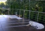 Outdoor Building Railing , 8mm SS316 Stainless Steel Rod Railing Anti Corrosion