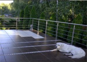 Quality Outdoor Building Railing , 8mm SS316 Stainless Steel Rod Railing Anti Corrosion wholesale