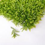 Plastic Green Plant Artificial Grass Walls 30mm Boxwood Vertical Fence