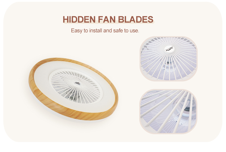 23 Inch/OEM Modern Design LED Ceiling Fan with DC Motor and Remote Control