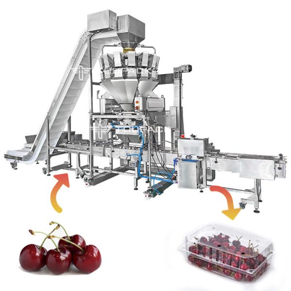 Linear Automatic Filling Machine Cherry Blueberry Strawberry Tray Box Packaging