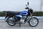 Single Cylinder Engine 125CC 150CC Gas Street Sports Racing Motorcycle