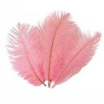 Ostrich Feather for Millinery Supplies EMS Shipping Party and Carnival