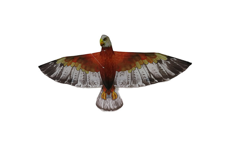 Easy Carry Polyester material 3D Eagle Kite , Single String Kite For Beginner Playing
