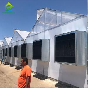 Quality PE Film 220V Auto Light Dep Greenhouse 100% Blackout High Tunnel Greenhouse wholesale