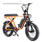 20 Inch Fat Tire Ebike 48V 1000W Electric Mountain Bike For Eco-Friendly