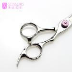 Ergonomic Handle 8" Pet Grooming Shears F3