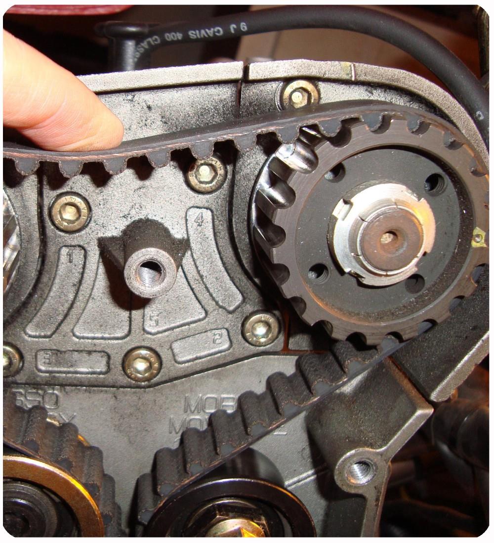 Standard White PU Timing Belt for Accurate and Consistent Performance