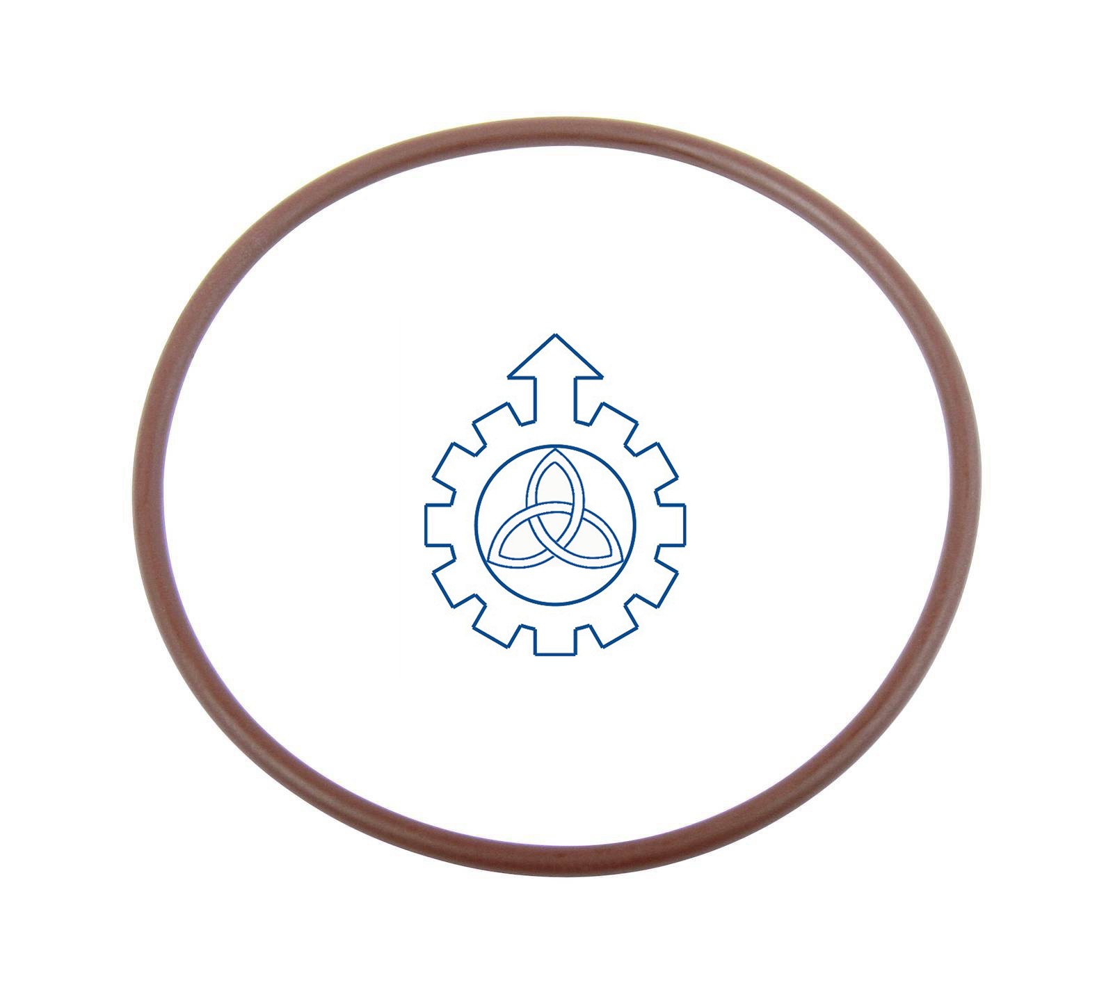 O-ring 17284681