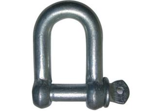 Quality EUROPEAN TYPE LARGE DEE SHACKLE wholesale