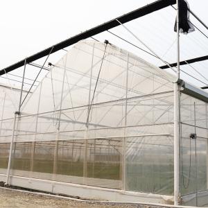 Quality Outdoor Farming Multi-span Agricultural Vegetable Berry Film Poly Tunnel Greenhouse wholesale