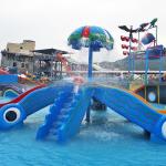 Hot Multicolor Water Park Splash Pad Mini Fiberglalss Octopus Water Slide