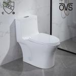 Dual Flush One Piece Elongated Toilet Matt Black S Trap