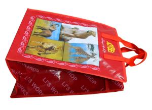 Quality 140g Swing Shining PP Zipper Shopping Bag With Nylon Tape Handle, PVC Binding wholesale