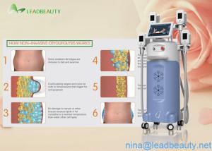 Quality 4 Big heads -15-5℃ Cooling cryolipolysis slimming machine for body shaping wholesale