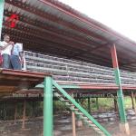 A type Broilers Battery Cage Poultry Farming ISO14001 Doris